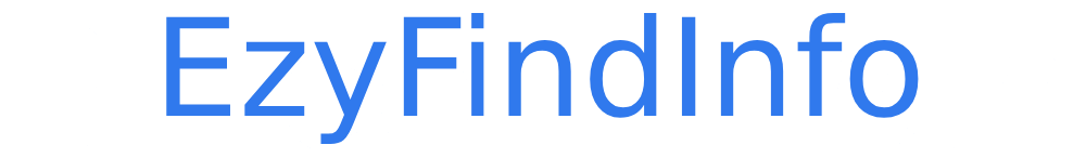 EzyFindInfo Logo